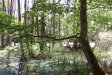 Darß